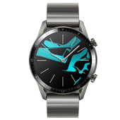 ΪWATCH GT 2